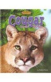 America's Hidden Animal Treasures: Ringtail Miner's Cat, Cougar a Cat With Many Names, Roseate Spoonbill Pretty in Pink, Collared Peccary Cactus ... Otter Cat, White-nosed Coati Racoon's Cousin