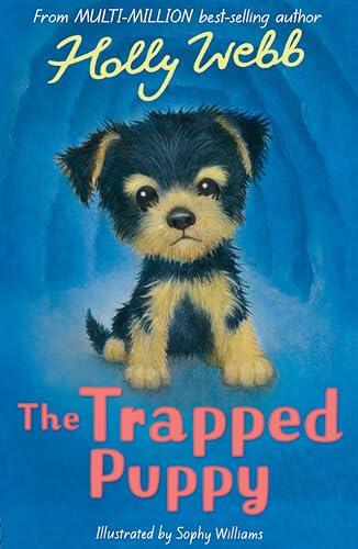 The Trapped Puppy