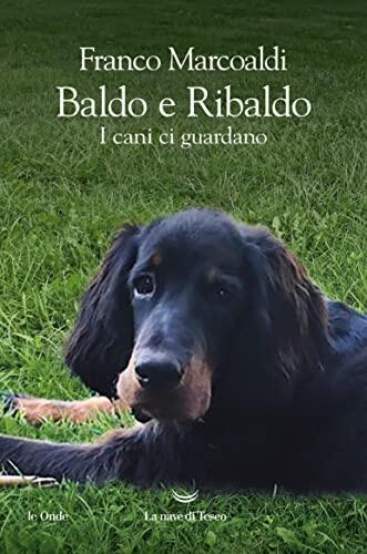 Baldo E Ribaldo: I Cani Ci Guardano