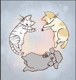 My Kitty and Old Dog