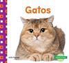 Gatos / Cats