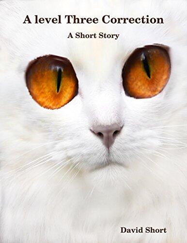 A Level Three Correction: A Short Story