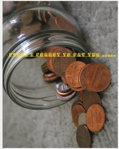 F*ck! I forgot to pay........: Best finance accountability book