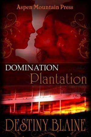 Southern Plantation