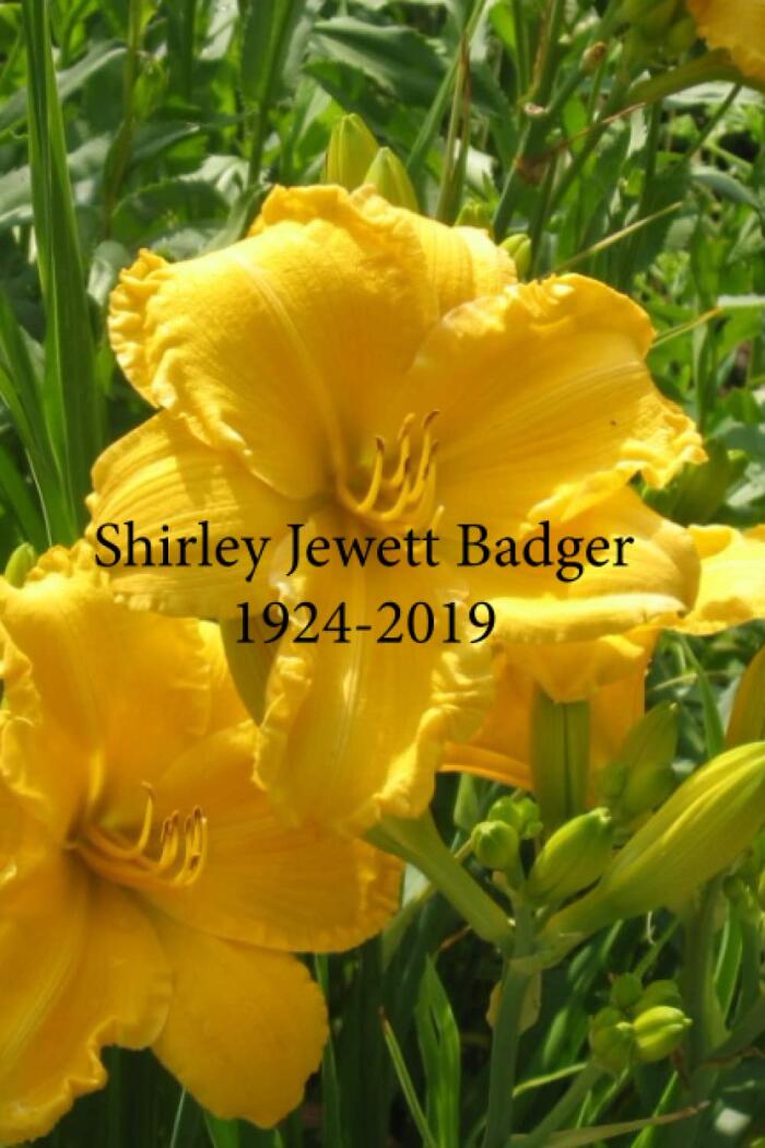 Shirley Jewett Badger