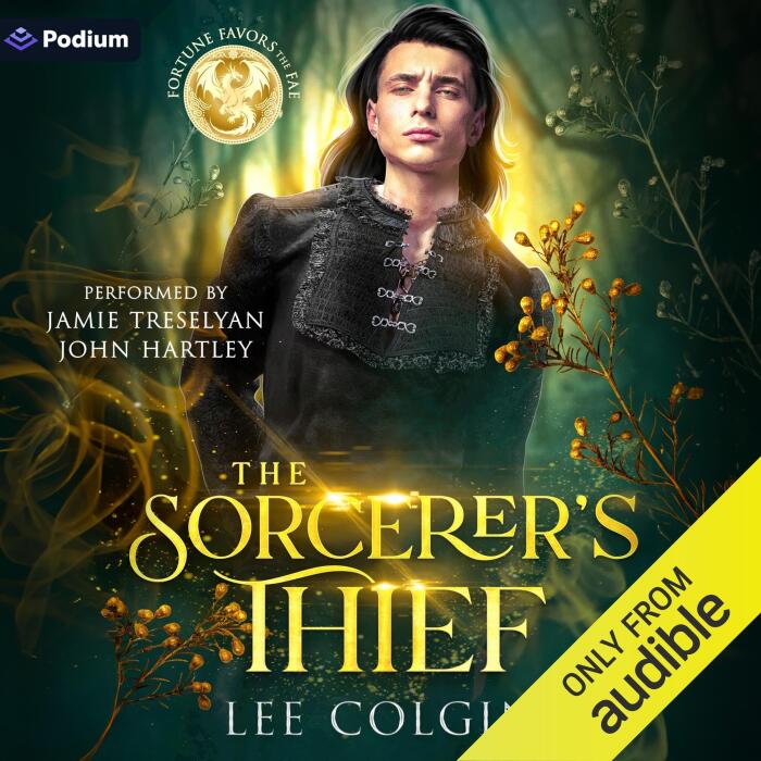 The Sorcerer's Thief