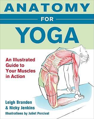 Anatomy for Yoga: An Illustrated Guide to Your Muscles in Action
