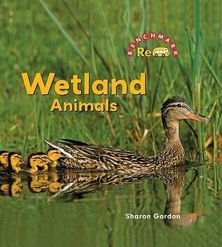Wetland Animals