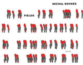 Michal Rovner: Fields
