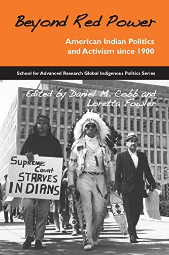 Beyond Red Power: American Indian Politics and Activism Since 1900
