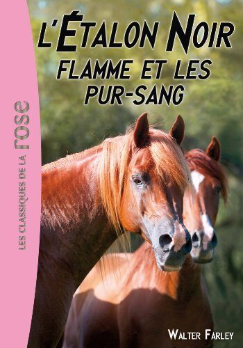 L'Étalon Noir 11 - Flamme et les pur-sang