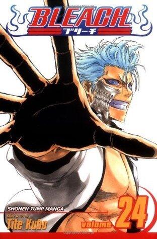 Bleach, Volume 24