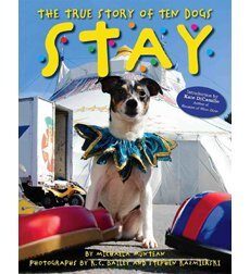 Stay, The True Story of Ten Dogs