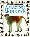 Amazing Monkeys