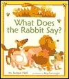 What Does the Rabbit Say?