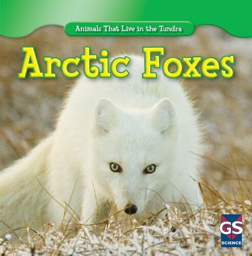 Arctic Foxes (Animals That Live in the Tundra) by Maeve T. Sisk