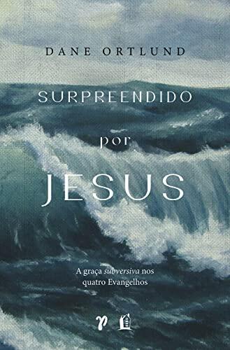 surpreendido por jesus a graca subversiva nos quatro evangelhos Ed. 2023