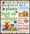 Plants Feed on Sunlight and Other Facts about How Things Grow