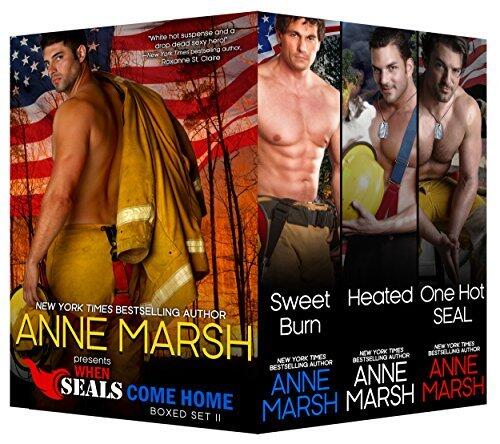 When SEALs Come Home Boxed Set II