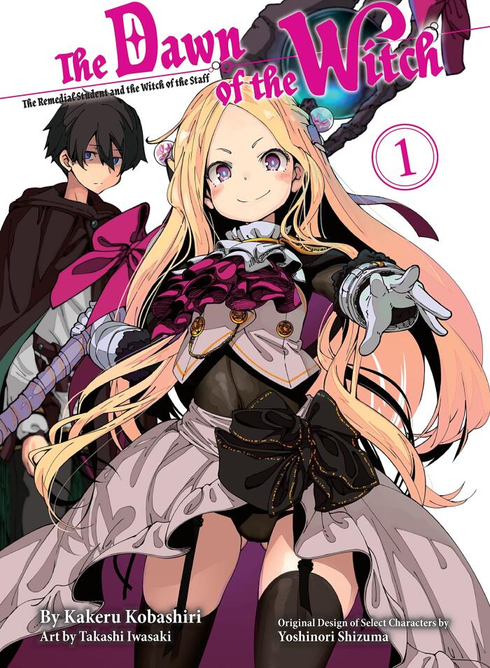 The Dawn of the Witch Light Novel