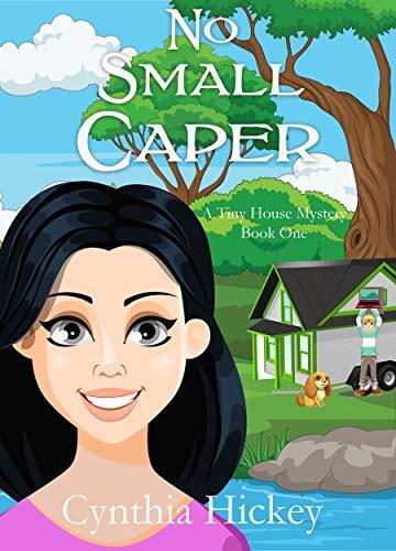 A Tiny House Mystery