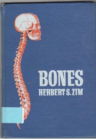 Bones