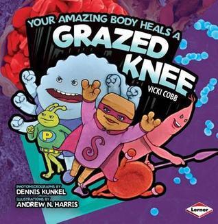 Your Amazing Body Heals a Grazed Knee