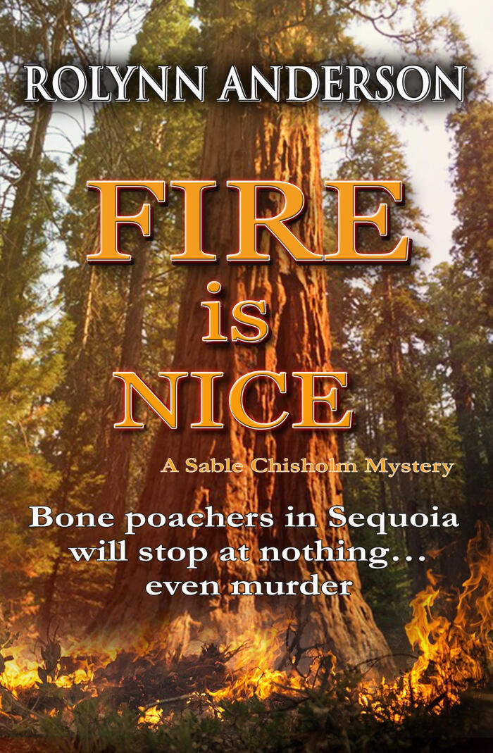 Fire is Nice