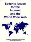 Security Issues for the Internet and the World Wide Web