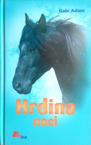 Hrdina noci