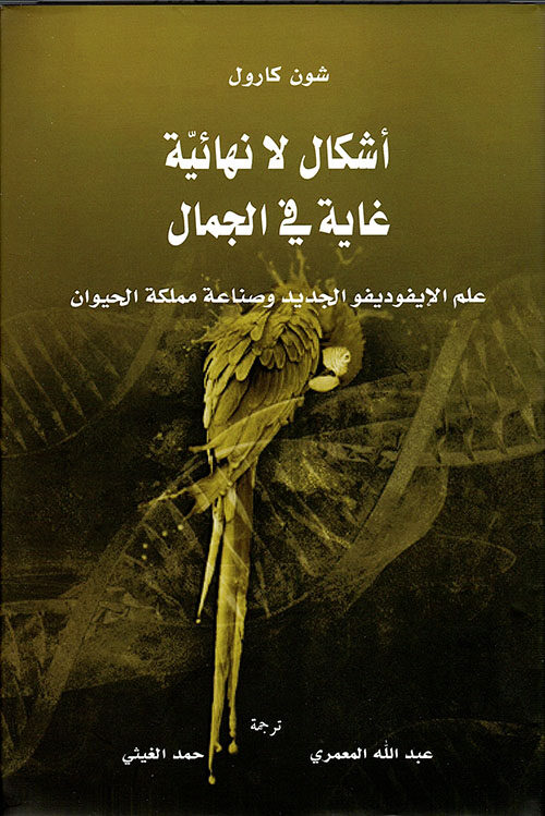 أشكال لا نهائية غاية في الجمال