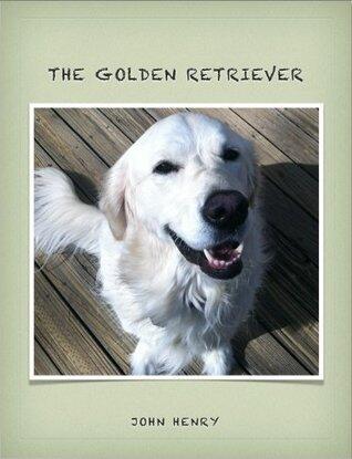 The Golden Retriever