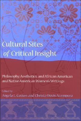 Cultural Sites of Critical Insight: Philosophy, Aesthetics, and African American and Native American Women's Writings