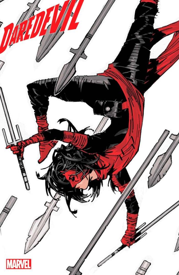 Daredevil Woman Without Fear #2 Reg CVR