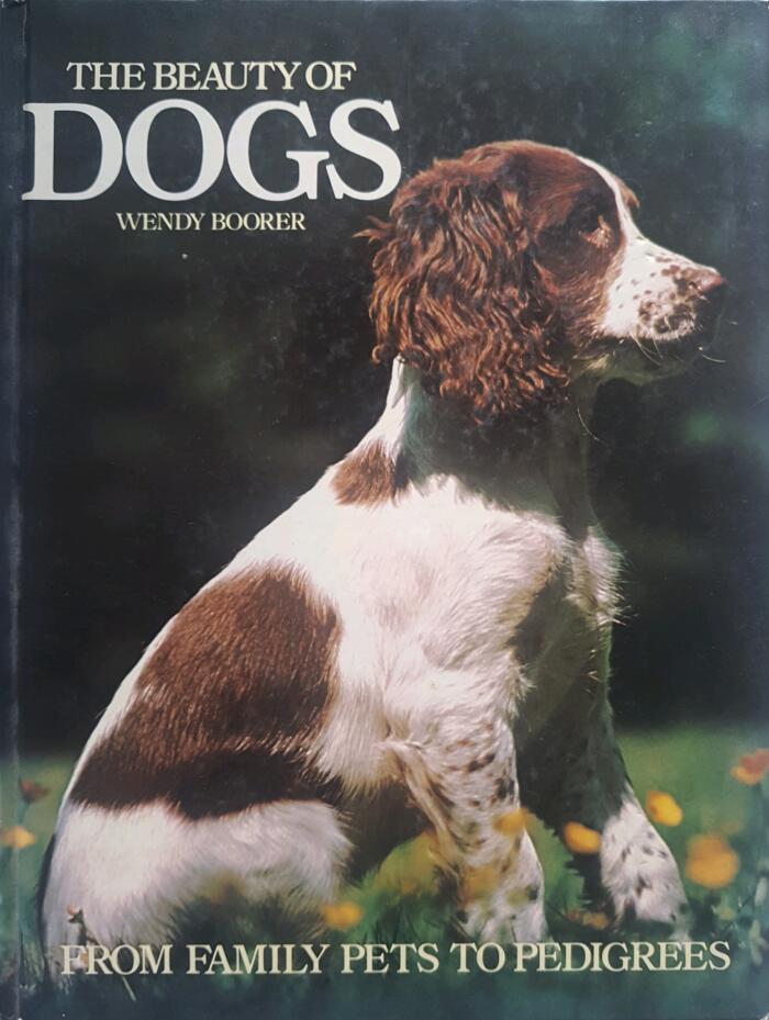The Beauty of Dogs: From Family Pets to Pedigrees