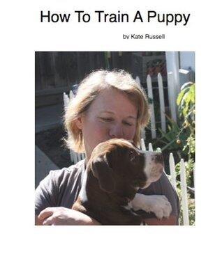 How To Train A Puppy