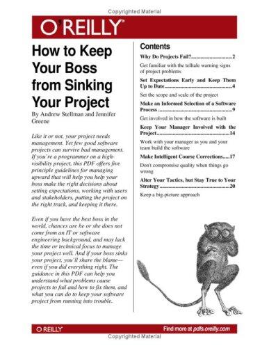 How to Keep Your Boss from Sinking Your Project