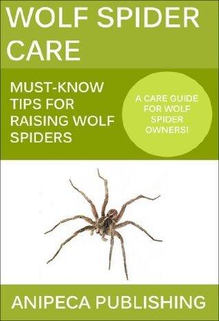 Wolf Spider Care: Must-Know Tips For Raising Wolf Spiders