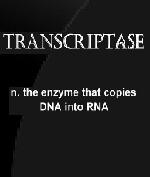 Transcriptase