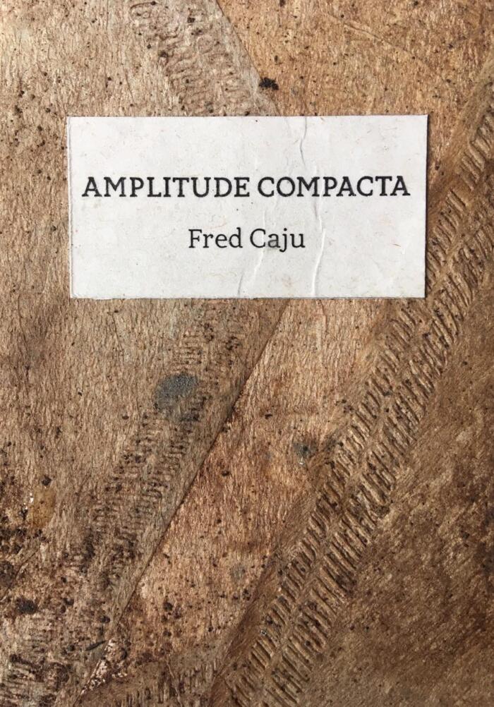 Amplitude Compacta