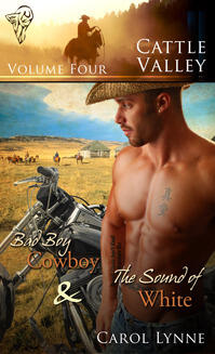 Cattle Valley Vol. 4