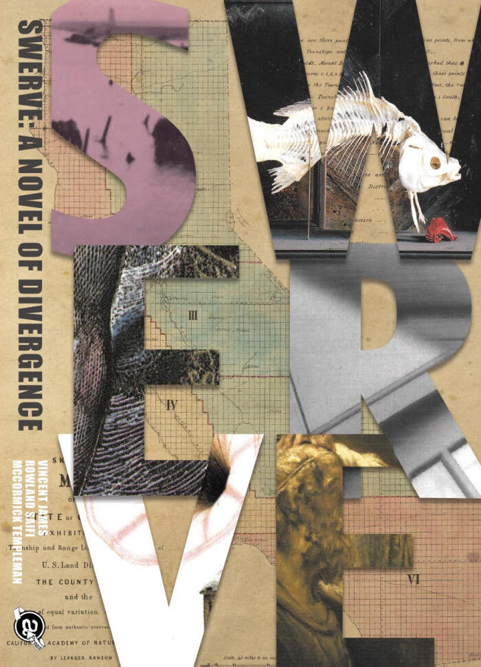 Swerve: a novel of divergence