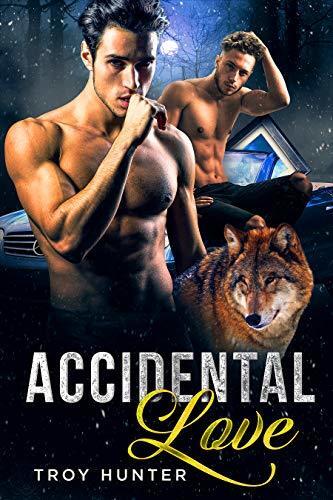 Accidental Love: