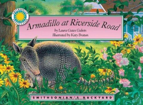 Armadillo at Riverside Road (A Smithsonian's Backyard Book)