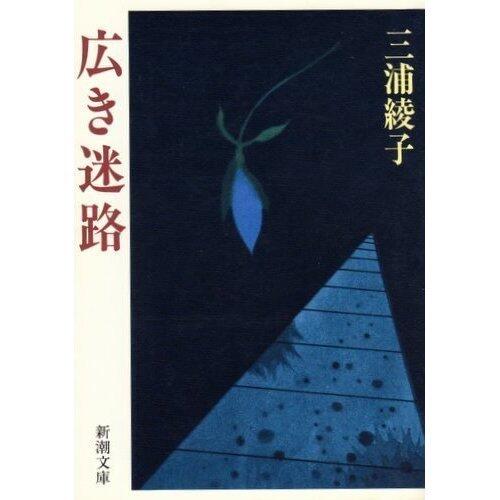 広き迷路