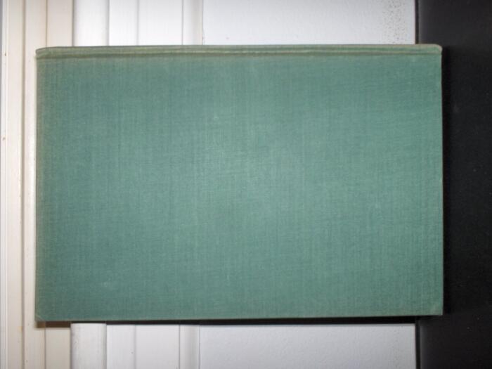 The Poema de Jose: A Transcritption and Comparison of the Extant Manuscripts