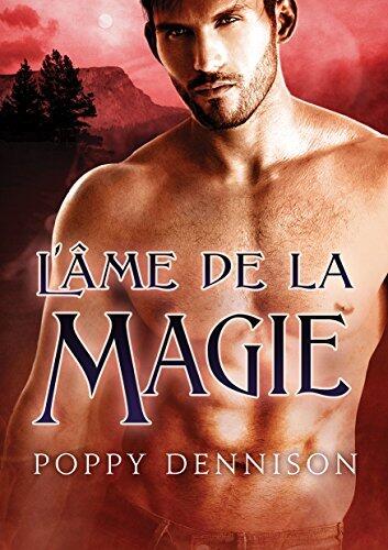 L'âme de la magie (Les Triades t. 3)