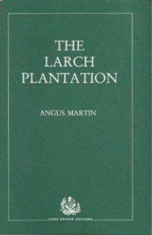 The Larch Plantation
