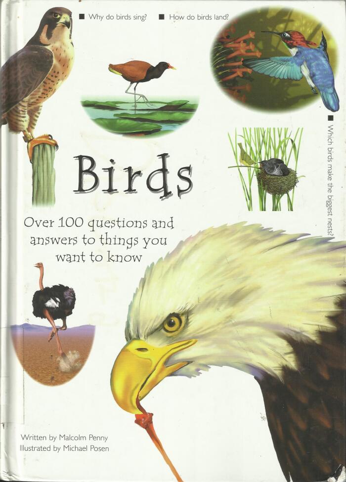 100 Questions and Answers: Birds