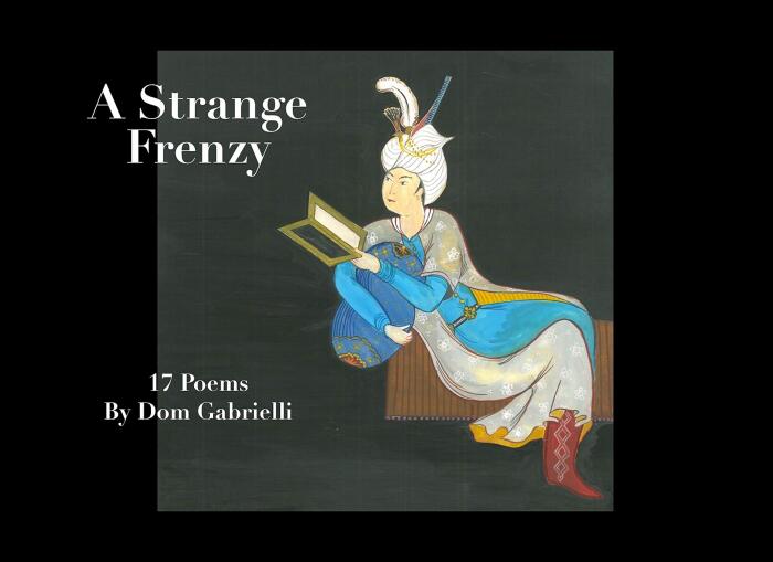 A Strange Frenzy: 17 Poems